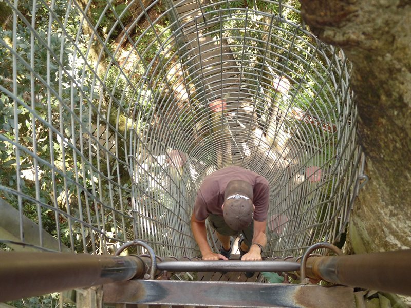 Climbing up to the lookout