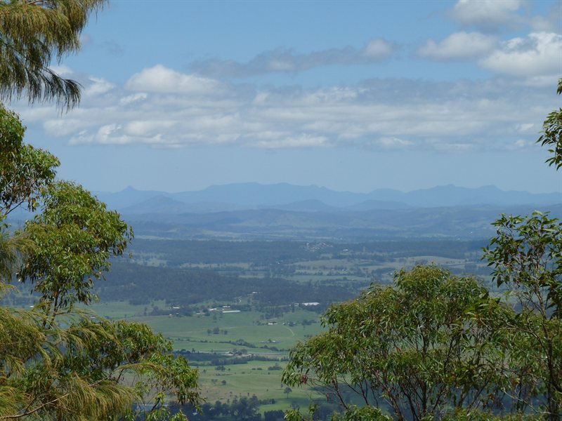 View from Mount Tamborine