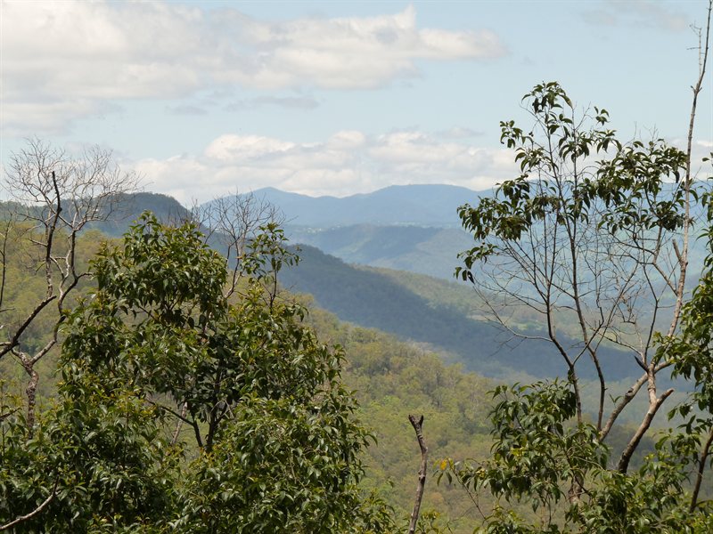 View from Mount Tamborine