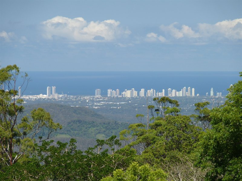 Surfers Paradise from Mount Tamborine