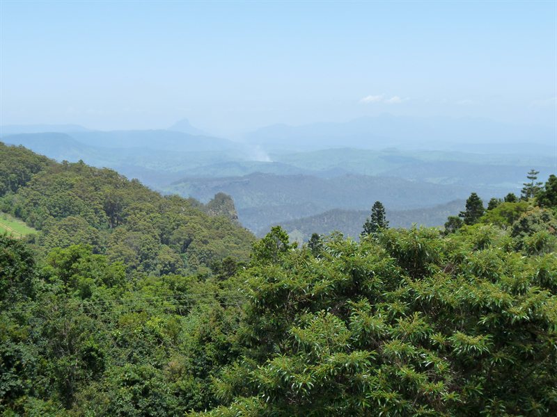 View from O'Reillys cafe