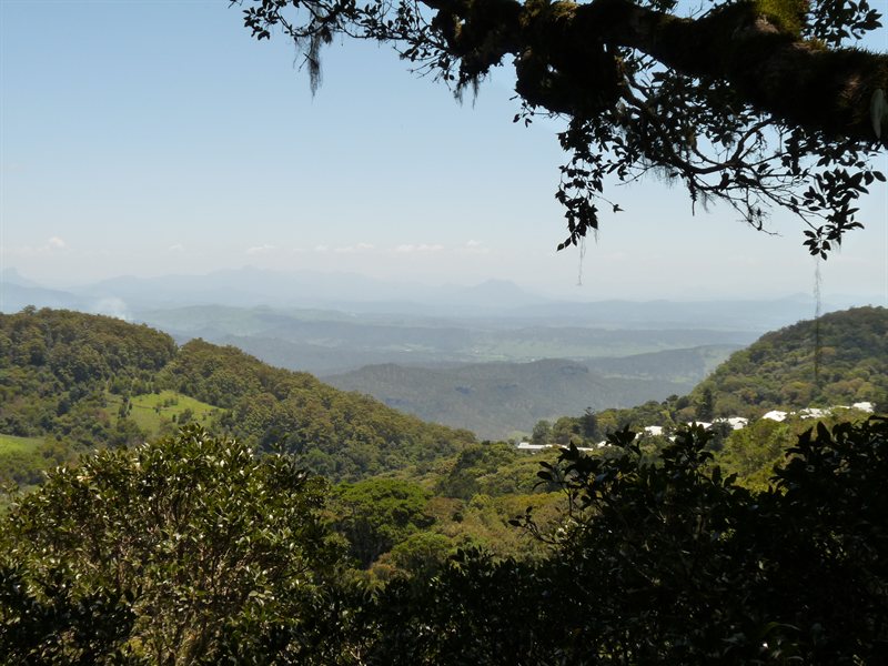 View from the lookout
