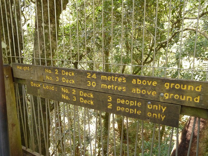 Tree-top walk at O'Reillys