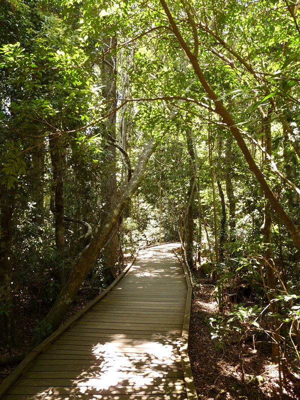 Walkway at O'Reillys