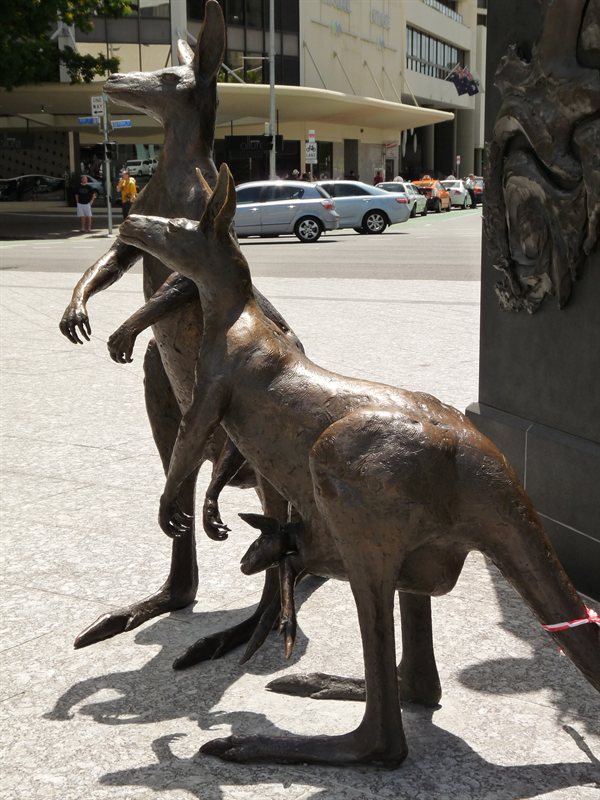 Kangeroo statue outside City Hall