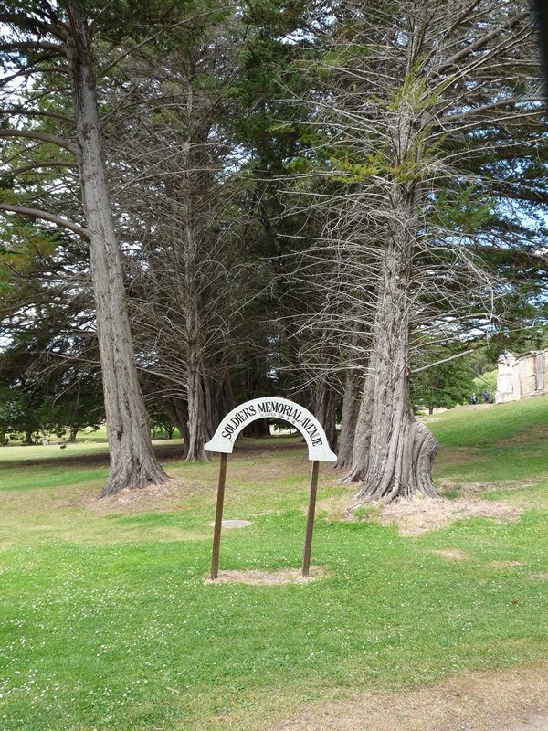 Memorial grove at Port Arthur