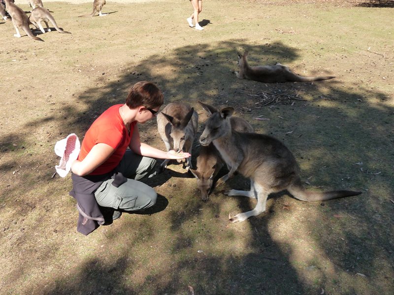 Claire feeding the kangaroos