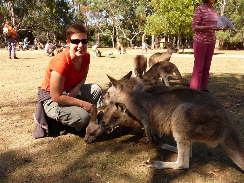 Claire feeding the kangaroos