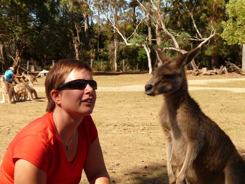 Claire feeding the kangaroos