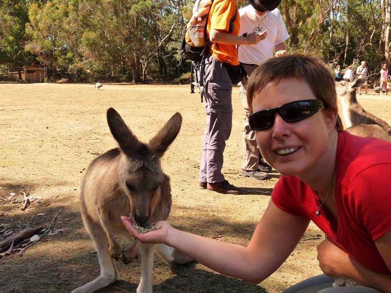 Claire feeding the kangaroos