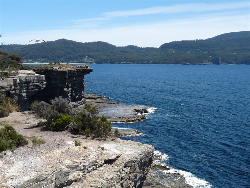 View from Tasman National Park