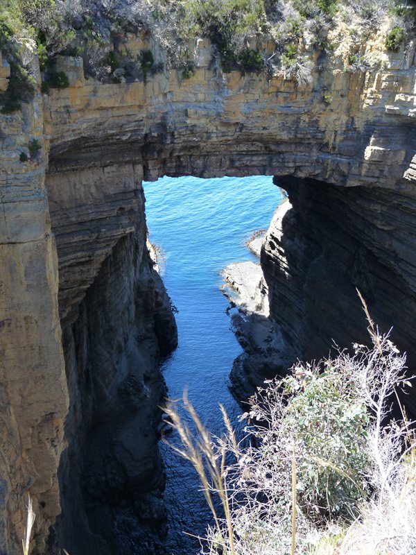 Tasman Arch