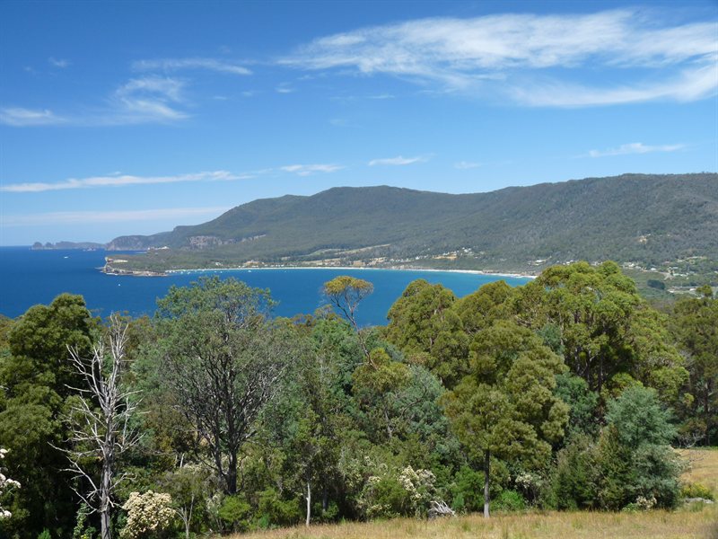 Tasman National Park