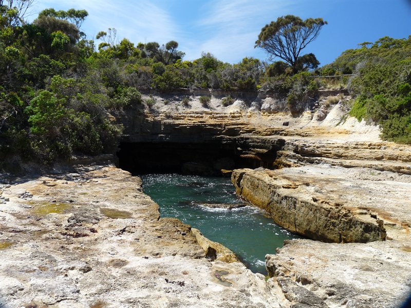 Tasman Blowhole