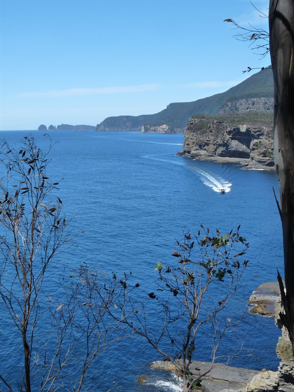 View from the Tasman Arch