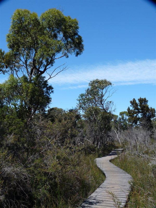 Boardwalk between Wineglass Bay and Hazards Beach