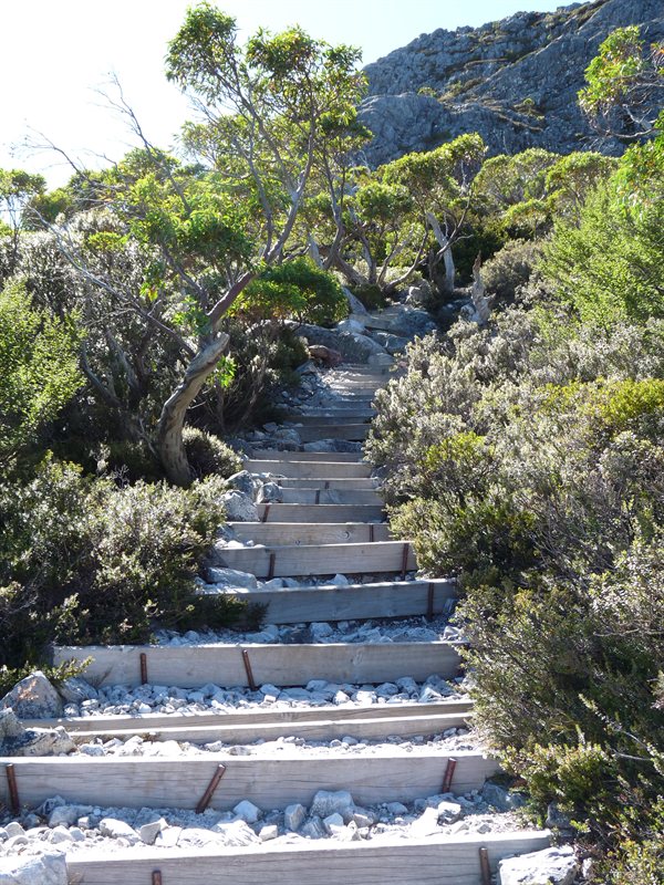 The path to Marion's Lookout