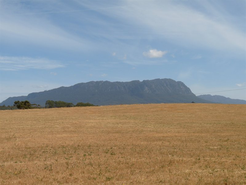 View of Mount Roland