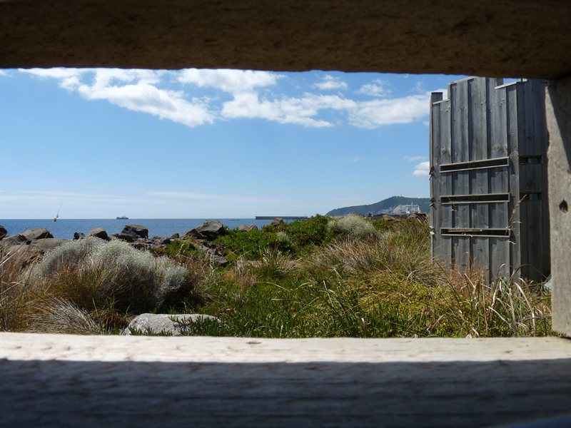 Penguin lookout at Burnie