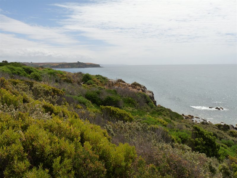 View from Devonport lighthouse