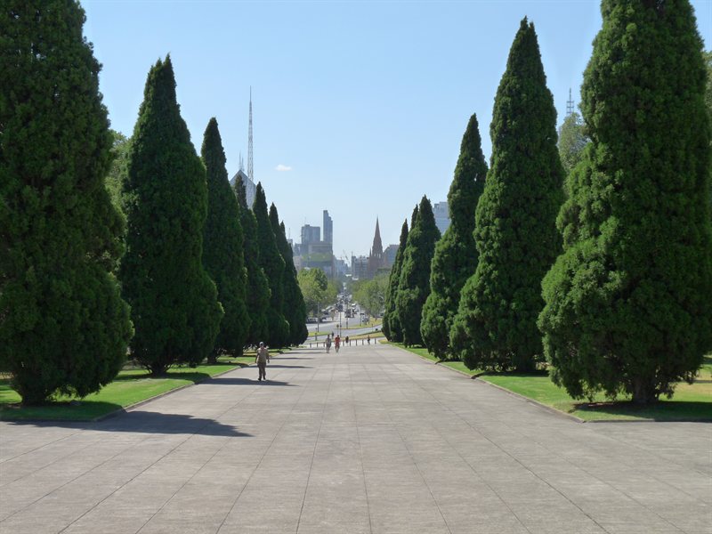 View from the Shrine of Remembrance