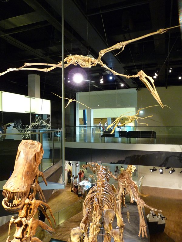 Dinosaurs at the Melbourne Museum