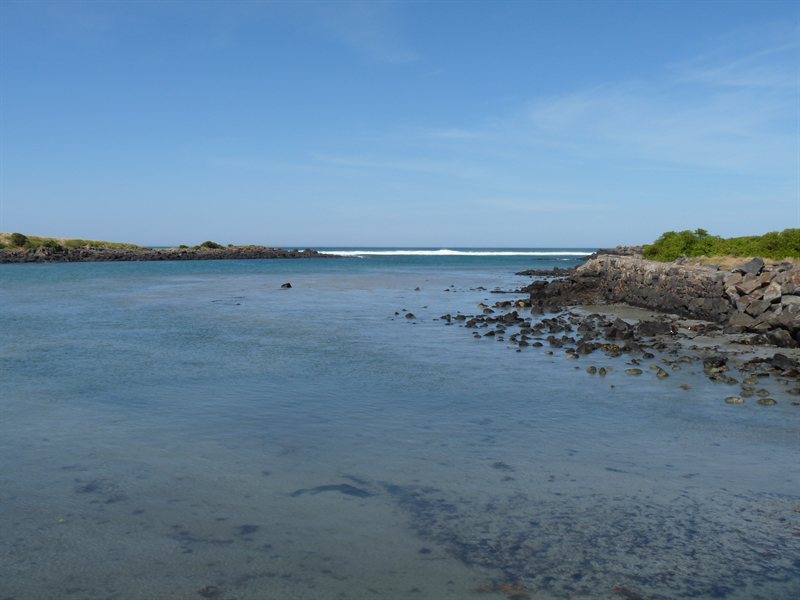 Griffiths Island, Port Fairy