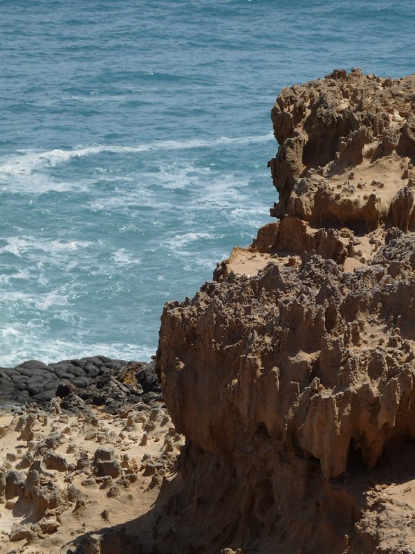 Petrified forest at Cape Bridgewater