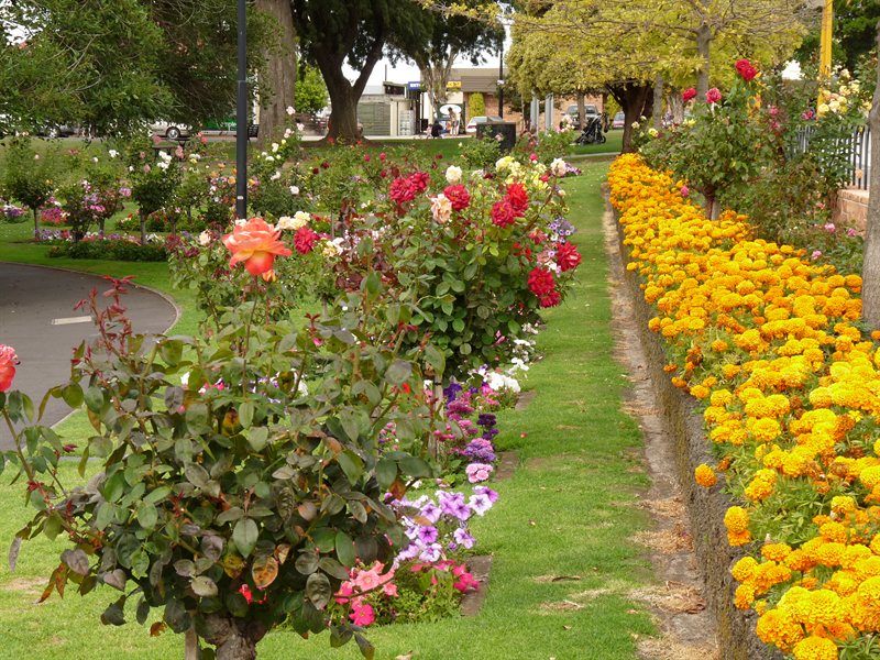 The Cave Garden in Mount Gambier