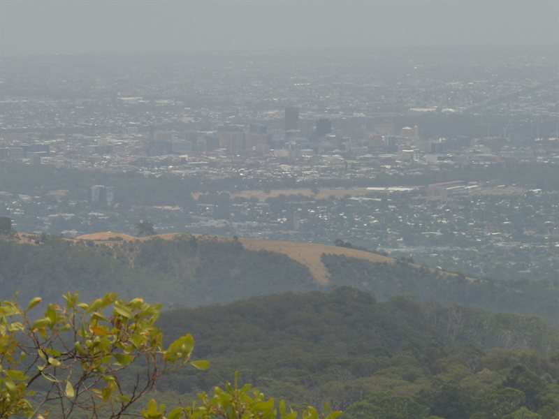 View of Adelaide from Mount Lofty