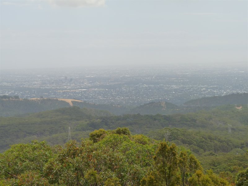 View of Adelaide from Mount Lofty