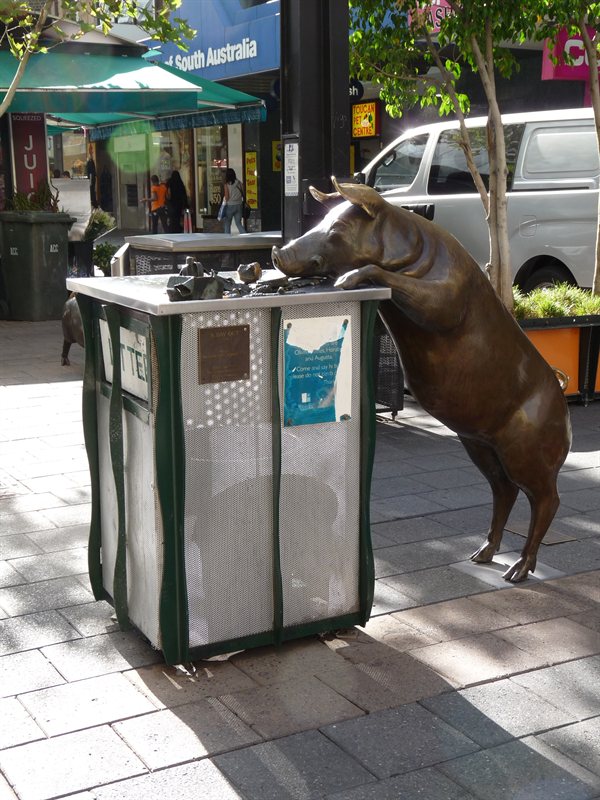 Oliver the pig - always wanting more