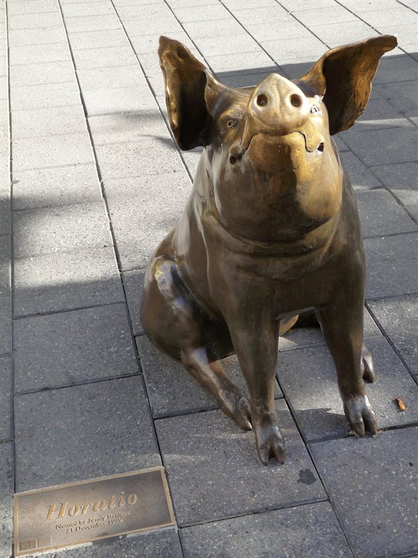 Horatio the pig