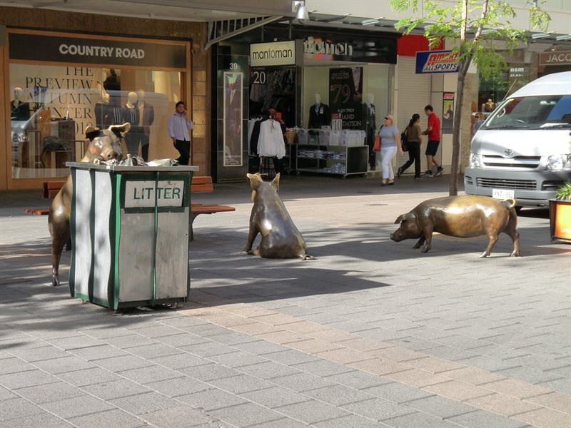 The pigs in Rundle Mall