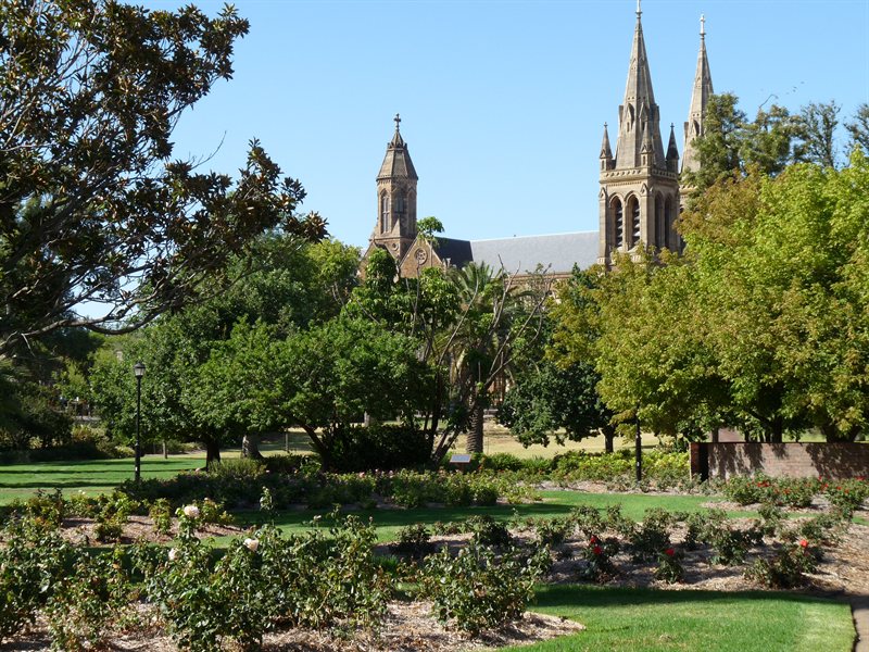 The cathedral across Brougham Gardens
