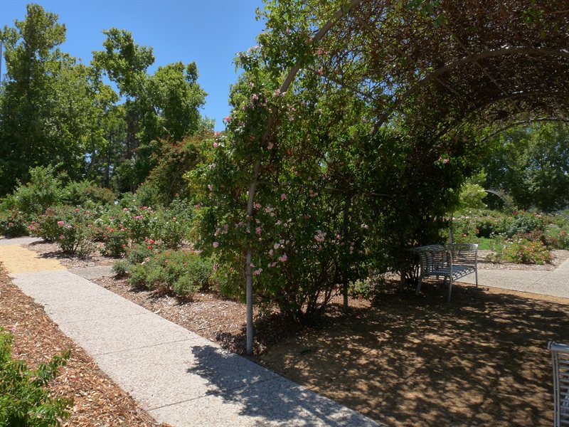 Adelaide Botanic Gardens