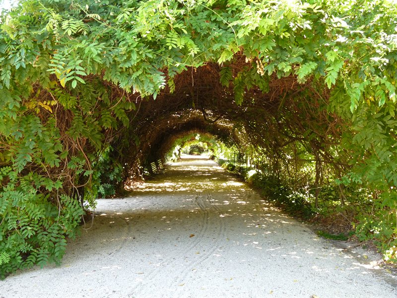 Adelaide Botanic Gardens