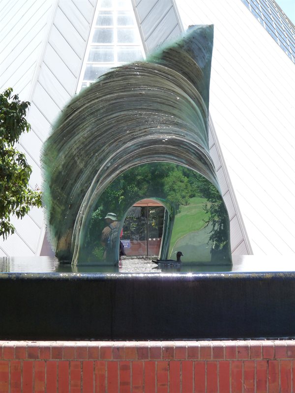 Adelaide Botanic Gardens