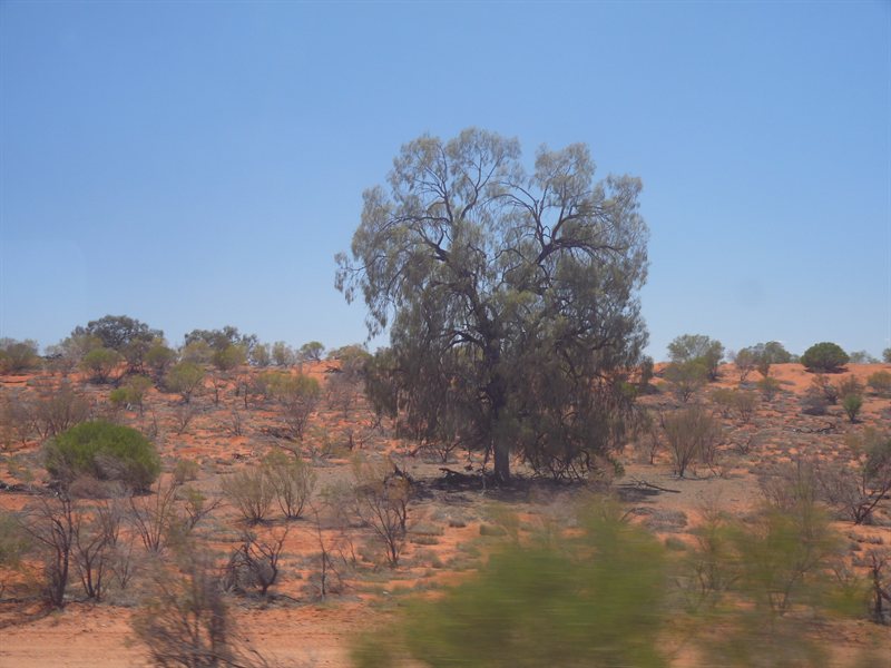 View from the Ghan