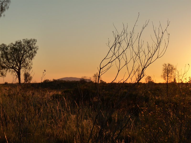 Sunrise and Uluru