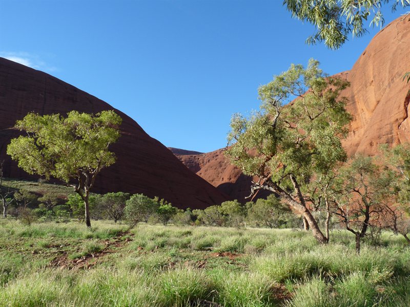 View on the Valley of the Winds walk