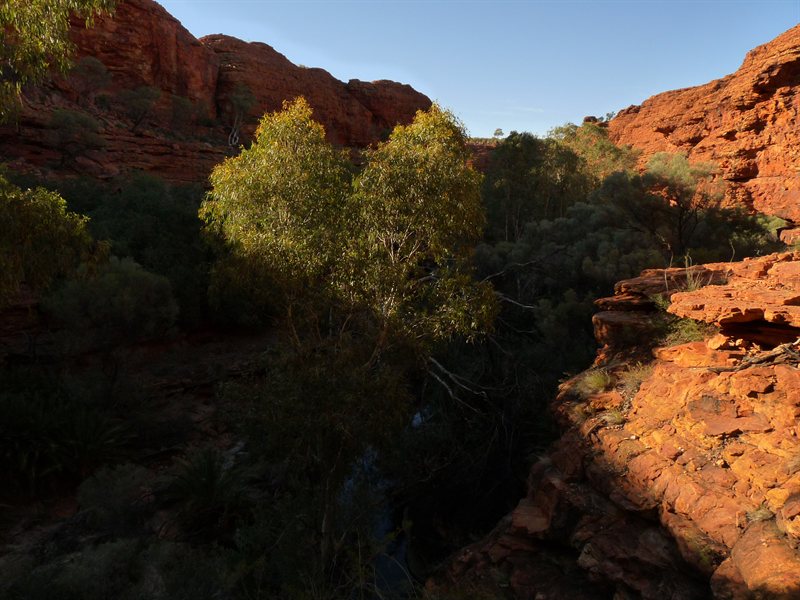 Kings Canyon