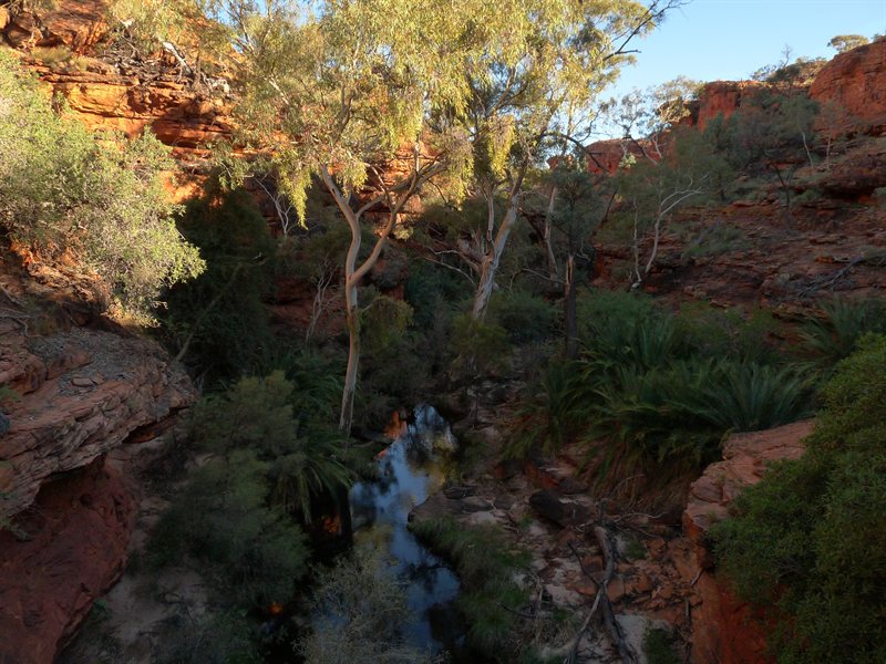 Kings Canyon
