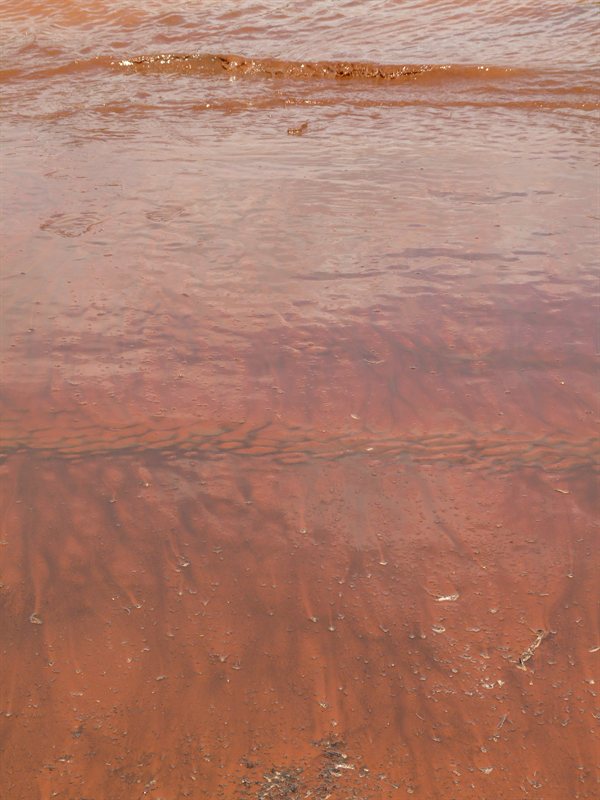 Receeding water line leaves mud and debris