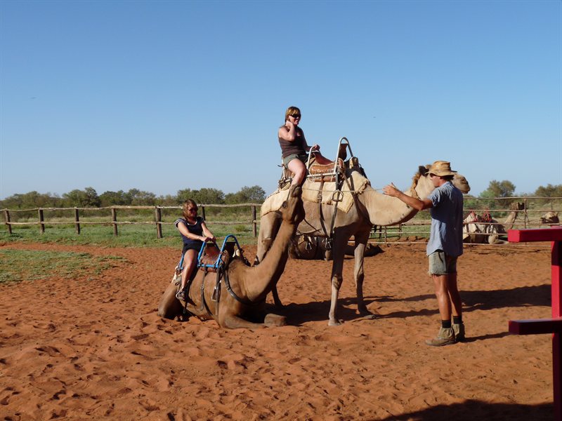 Camel rides at Stuarts Well