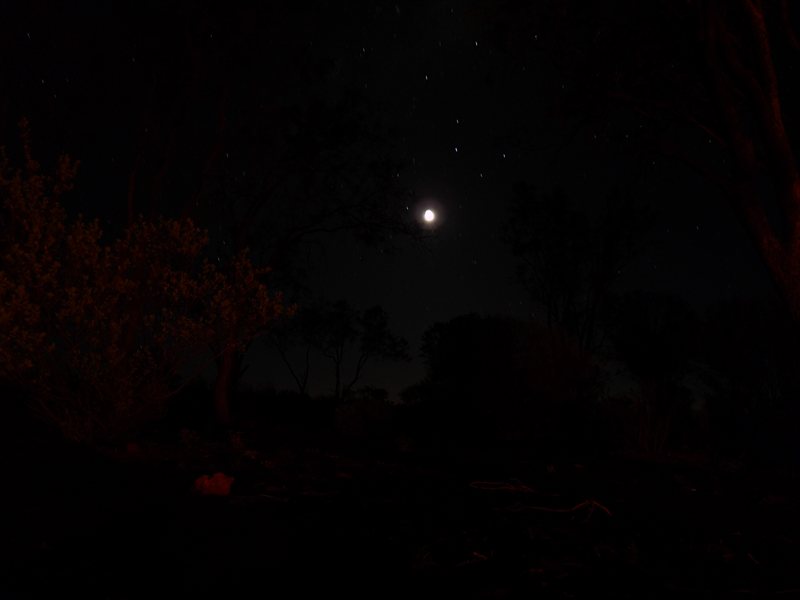 Night view at Kings Creek Station campsite