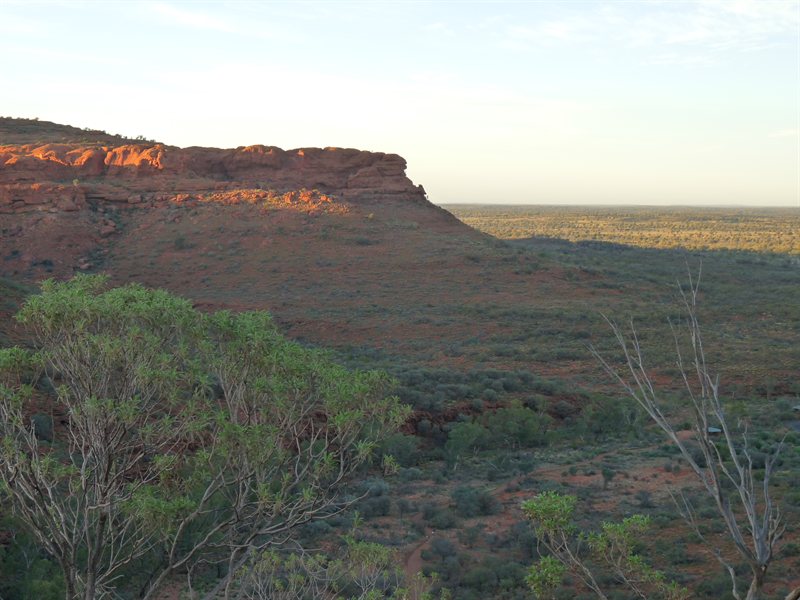 Early morning at Kings Canyon