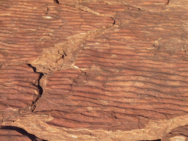 Ancient sea floor at Kings Canyon