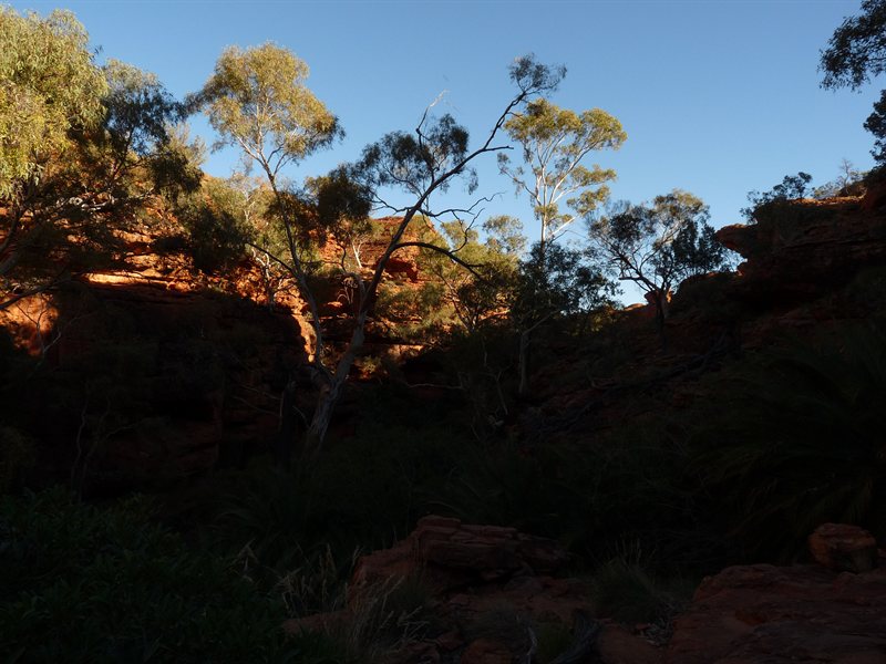 Kings Canyon
