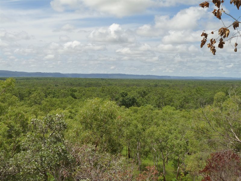 View over Kakadu National Park